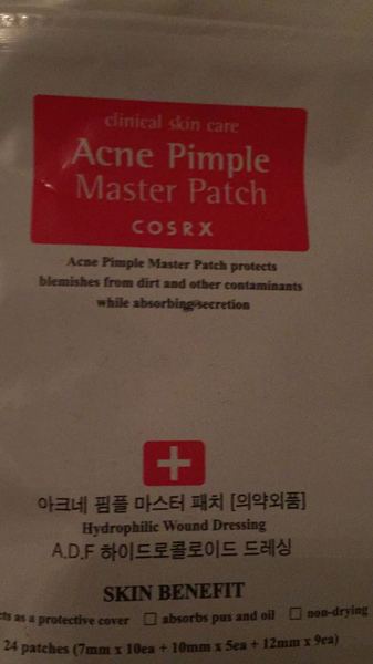 🐌 Fantastic Skincare: The One Where Sallie Swallows Dermaplaned a Lion Named Fabio