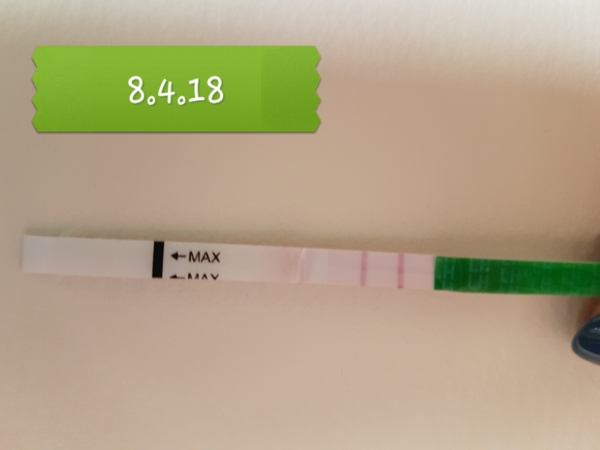 Is this normal? OPKs.