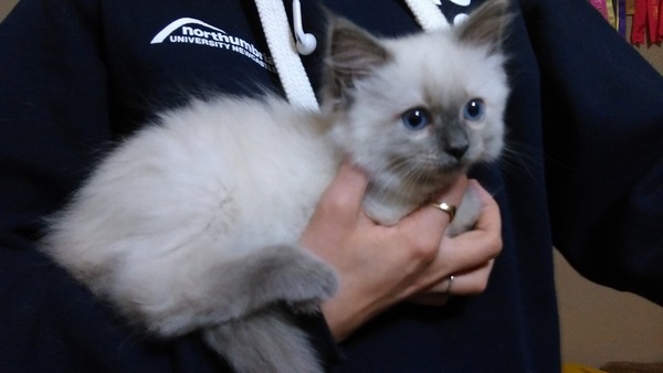 Help me name my new baby...