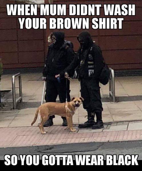 The MNHQ Moderation Team: Thread 2