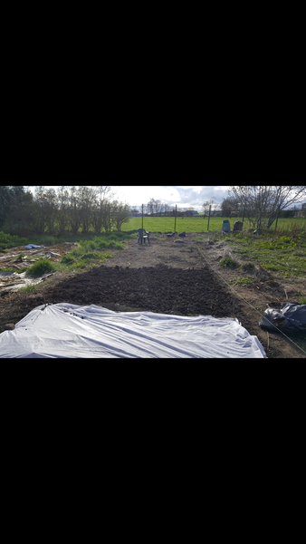Allotment/Veg patch thread 11 'We bid  farewell to rainbow leaves but will keep plotting along'