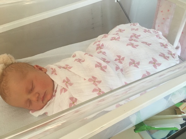 Due April 2018 thread #3