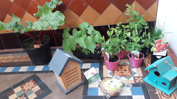 Gardening & Growing with the kids....