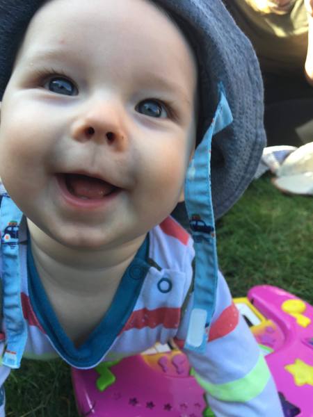 To clap my hands and skip about in a elephantine manner?