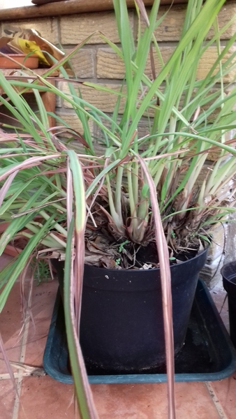 Marching into May, packed lunches all the way ! Join the frugaleers for frugal tips and friendly chat .