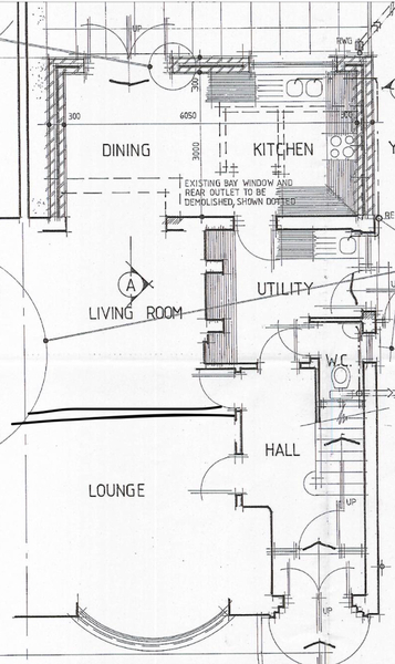 Critique my extension plans please