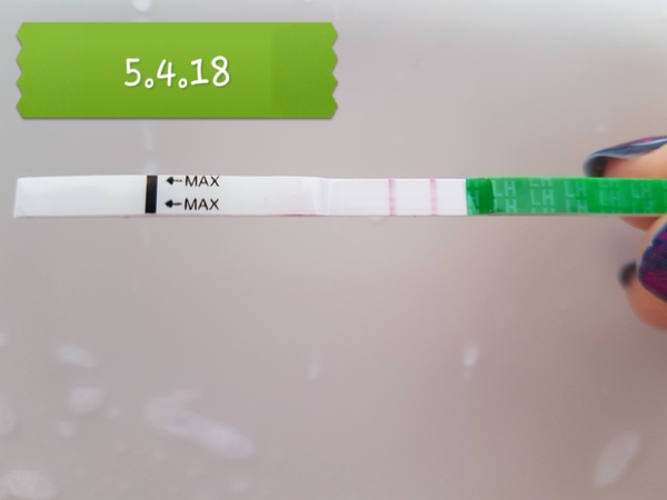 Is this normal? OPKs.
