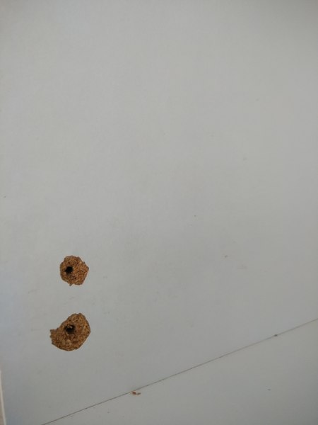IKEA or DIY kitchen - how do they compare?
