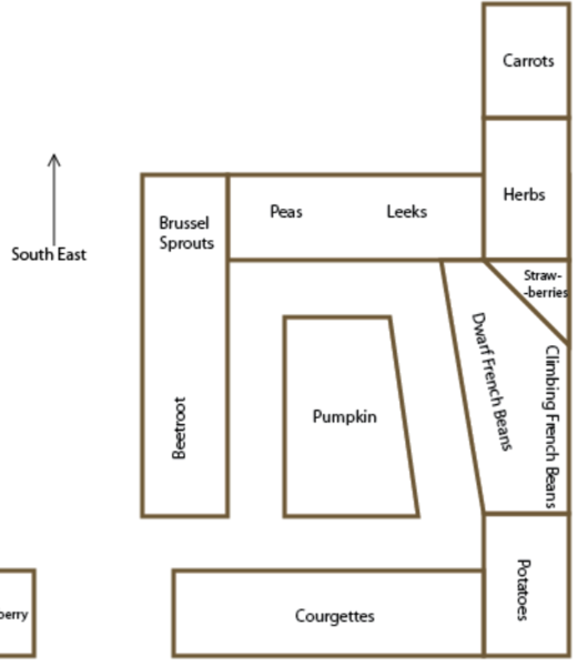 Allotment/Veg patch thread 11 'We bid  farewell to rainbow leaves but will keep plotting along'