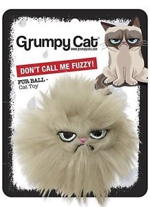 Mumsnet my cat needs you!