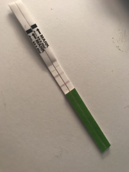 Ovulation CD23 of approx 33 day cycle ? 🤔