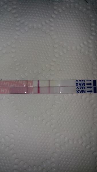 Positive or Negative. LH test.