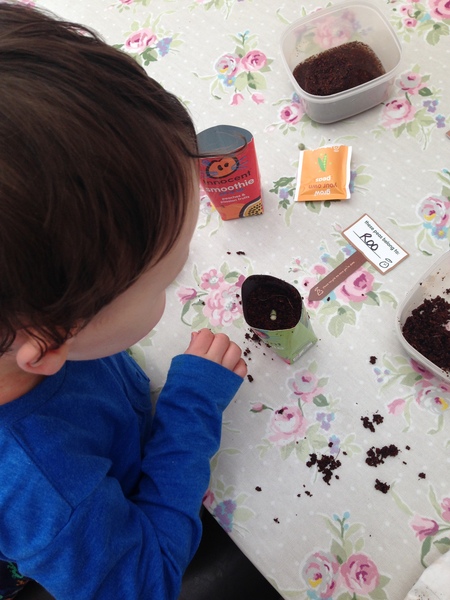 Mumsnet users review innocent’s at home growing kits