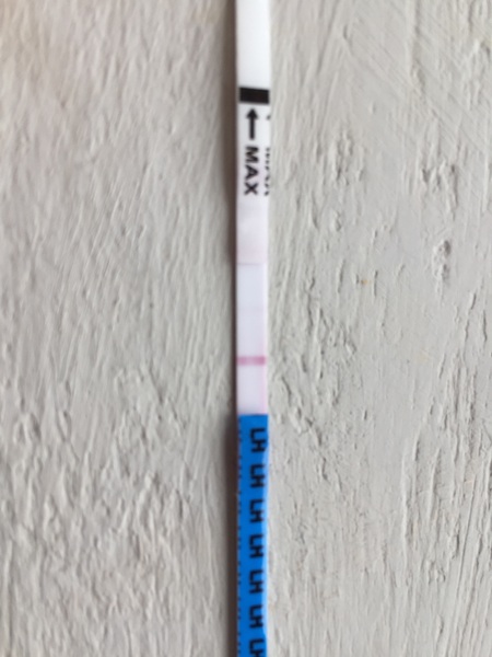 Ttc in April - ovulation sticks how do they work?