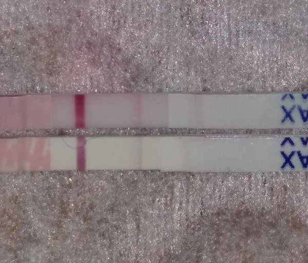 Is the top one darker LH test?