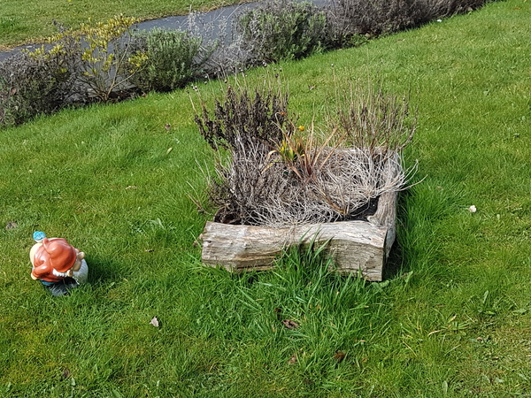 The lass who neglected a cactus is no more...