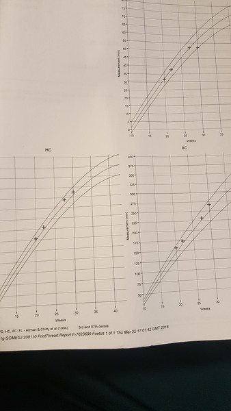 What would you think if these were your 30 week scan results  (pic attached)