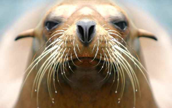 to say not in my name