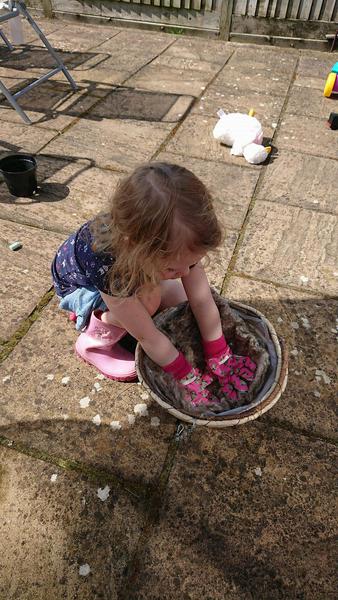 Mumsnet users review innocent’s at home growing kits