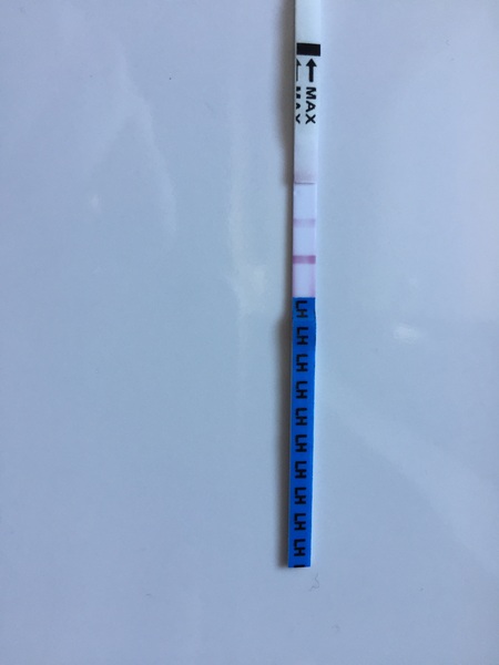 Advice on negative pg tests?