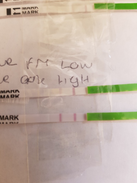 Is this a positive opk?!