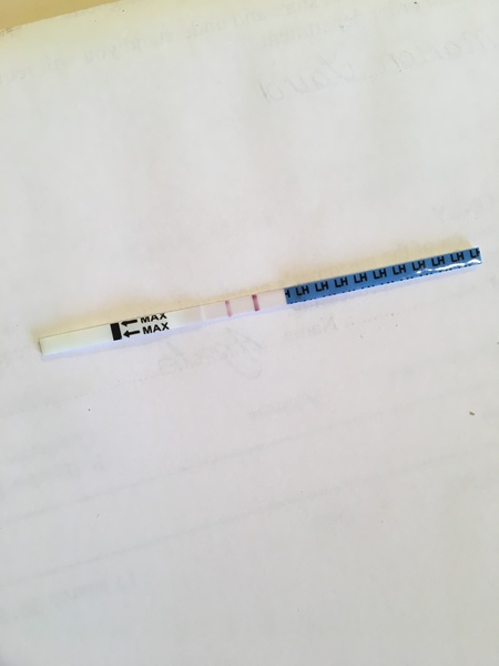 Is this a positive opk?