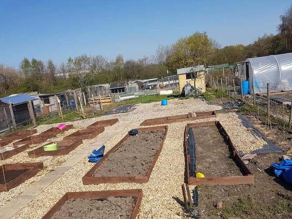 Allotment/Veg patch thread 11 'We bid  farewell to rainbow leaves but will keep plotting along'