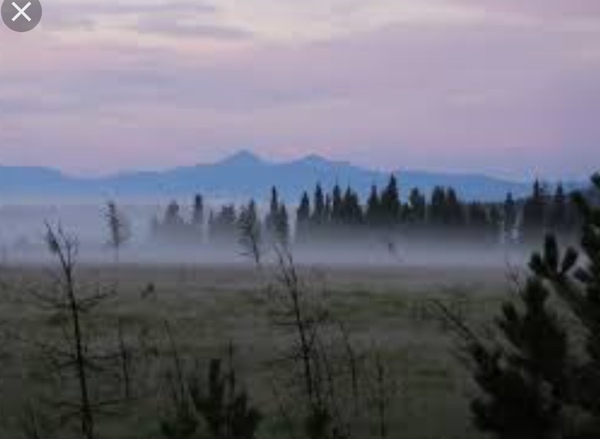 Anyone used 'Rocky Mountain mist' by Valspar? Looks purple instead of grey....