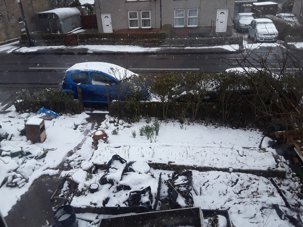 Frugaleers chatting and saving in the April sunshine.