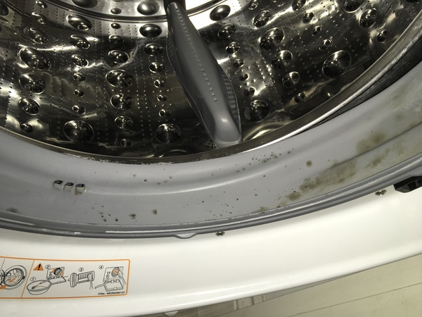 Mould and mildew in my LG washer.