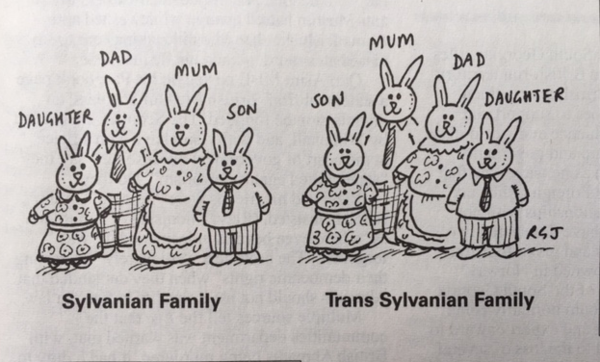 'Trans Sylvanian Family' - gentle satire, Private Eye