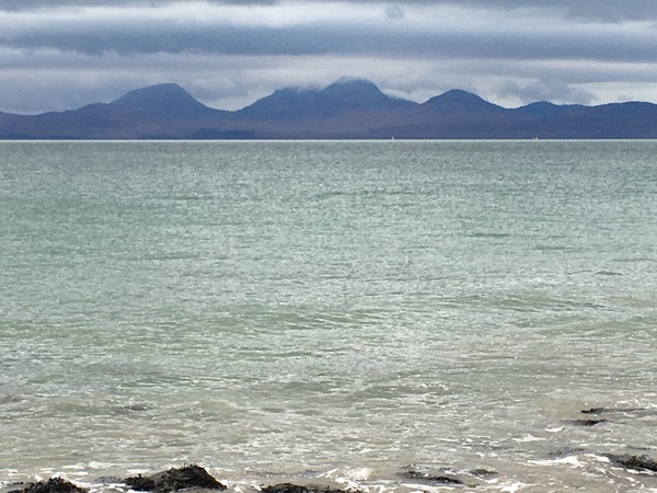 Small wedding inspiration needed please help!