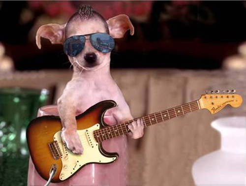 BGT Week 3 auditions.
