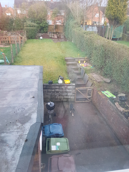 The lass who neglected a cactus is no more...
