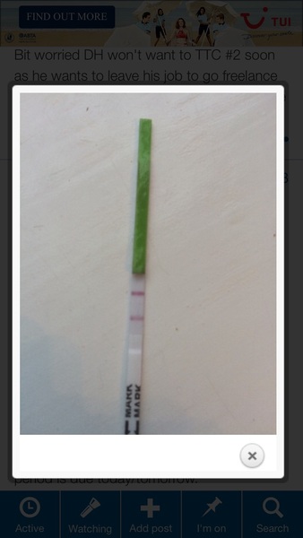 Two lines on an ovulation test? Could it indicate Pregnancy