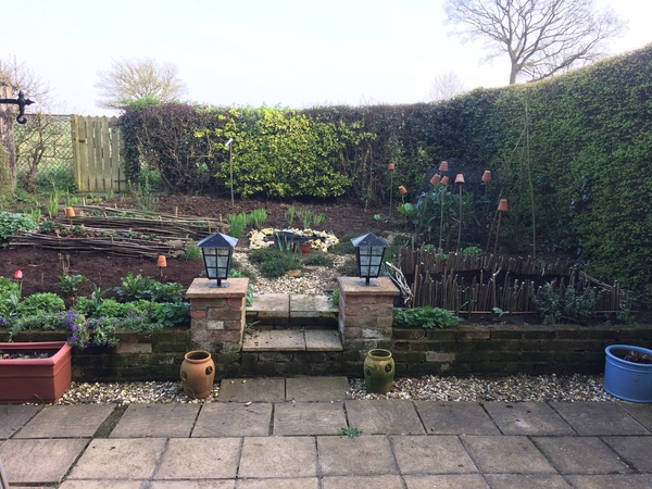 Allotment/Veg patch thread 11 'We bid  farewell to rainbow leaves but will keep plotting along'