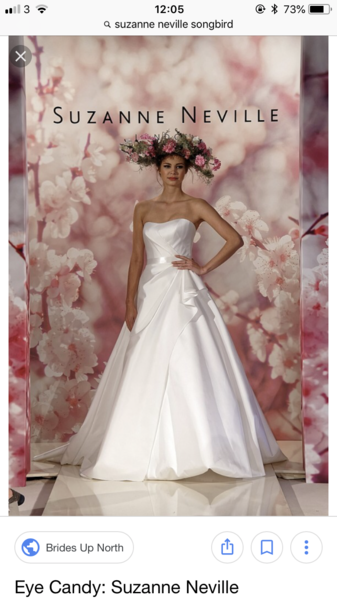 Dry Cleaner can’t clean my dress!