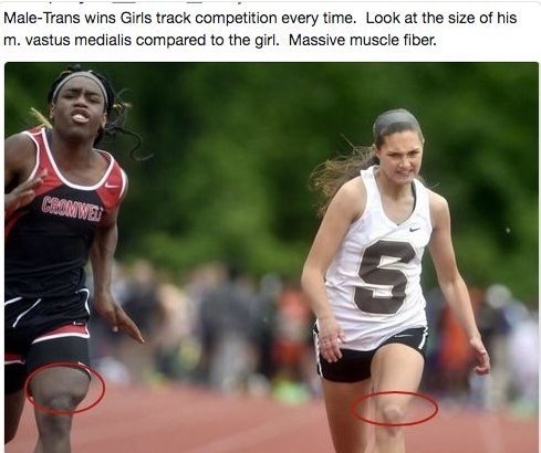 Transgender Weightlifter Story in Daily Mail! - will they let the comments through?