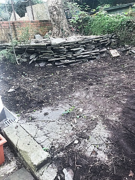 North facing neglected garden help