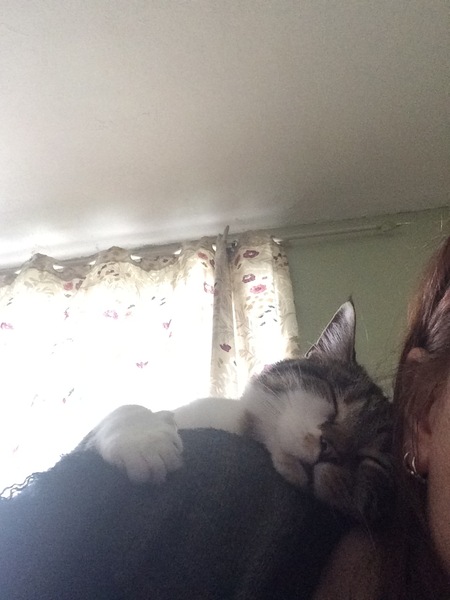 In a Controlling Relationship with DCat