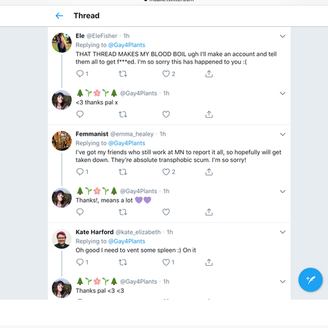 Slide show on "How to Deal with TERFs"