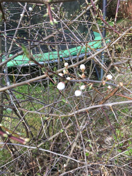 What is this?