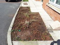 Ideas needed please