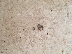 Kitchen floor issues pics attached.