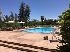 Low Carb Bootcamp - our final weigh-in!