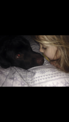 To ask the best dog breed for a child with autism