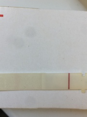 Can someone look at this preg test please?