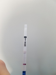 Can anyone see this?!