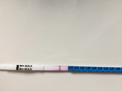 Advice on negative pg tests?