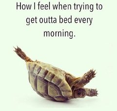 You know you're in the 3rd trimester when....
